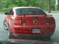 We stopped behind this Mustang GT while on vacation in New England.